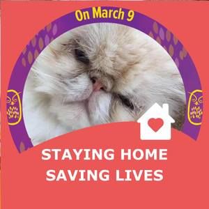 Meet your Posher, Ingrid